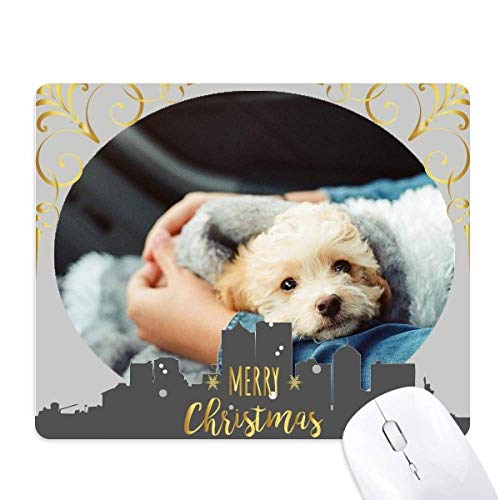 q̂킢̎ʐ^ NX}XCũS}EXpbh