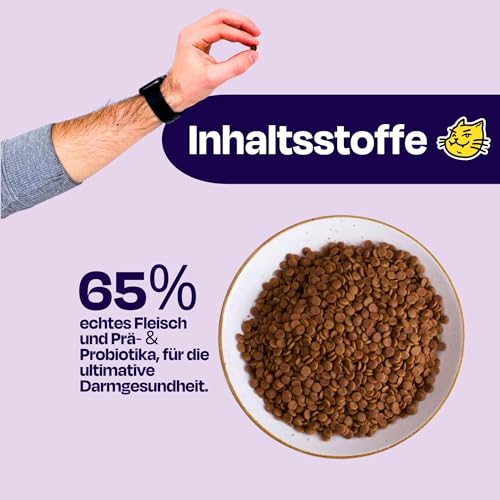 The Better Cat Super Premium Trockenfutter für Katzen | Getreidefreies Katzenfutter Trocken | Hoher Fleischanteil | Ohne Zucker | Mit Probiotika (1kg, Lachs)