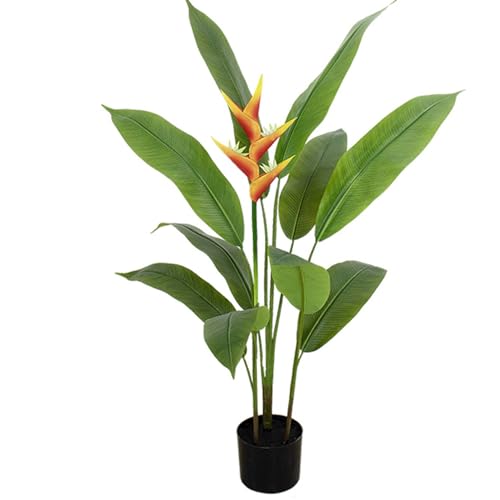 lHϗtA Ɋy SNN`EJ Xg`A A { CeAO[ tFCNO[ ^ ͂ȂO[ lHA ϗtA 蕨 v[g ꂢ X