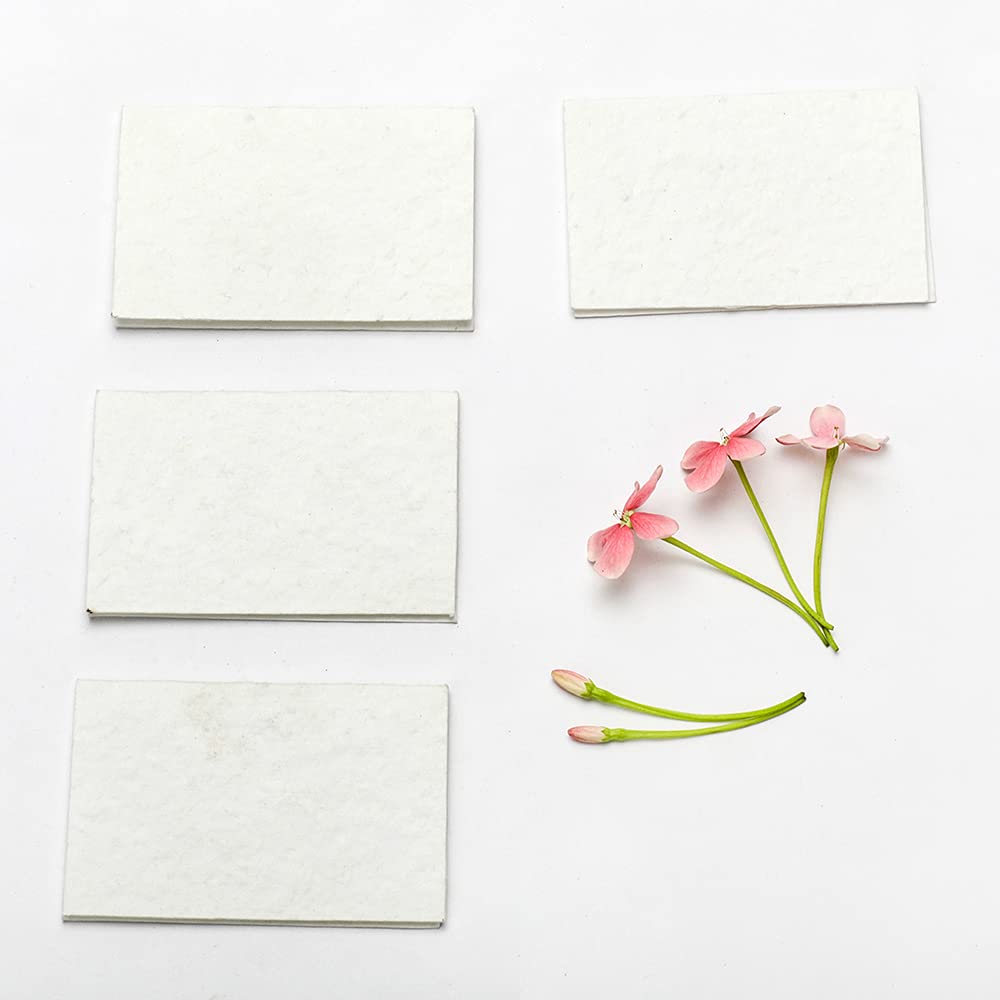 Kavi Plantable Plain Seed Paper Cards, (Set of 12), Eco-friendly gifts, DIY Gifts, Plain Greeting Cards, Germinating Paper, Eco-Friendly, Recycled and Handmade Seed Paper Cards, Blank Cards (Pack of 12)