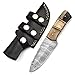 SharpWorld Beautiful Damascus Knife Made of Remarkable Damascus Steel and Exotic Handle -Best Hunting Knife with Sheath TJ102 (Ram Horn)