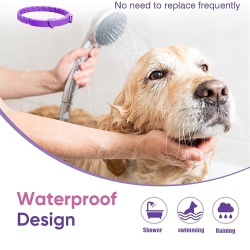 XoeLLe Beruhigungshalsband für Hunde, 2 Pack Verstellbares Calming Collar for Dogs, Beruhigungsmittel Halsband 60 Tage Schutz, Angst Stress Pheromon-Beschwichtigungshalsband für Große, Mittlere Hunde
