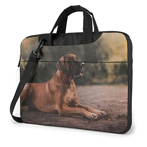 O[gEf[ ʐ^ PCP[X m[gp\RobO bvgbv یP[X PCobO Ռz y rWlXobO nhobO u[tP[X 񂰃obO t ΂ߊ|obO 13/14/15.6C`