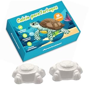 AreaAnimal – Calcio Tortugas de Agua, 20pcs Pastilla Calcio Tortuga con Liberación Lenta, Calcio Tortugas para Fortalecer el Caparazón, Piedra Calcio Tortuga que Mejora el Sistema Nervioso