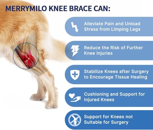 Image of Dog Knee Brace for Torn ACL & Hind Leg, Size: XL