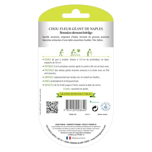 Graines Chou-fleur géant de Naples BIO Les Doigts Verts