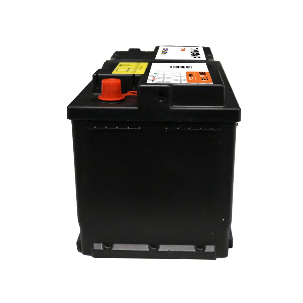 L4 AGM Batterie Dynamp DA80 AGM Stop-start 12V 80Ah 800CCA Batterie De Voiture