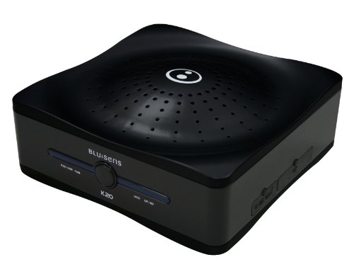 Blusens K20 Player - Disco duro multimedia grabador (500GB, 5400 RPM, FAT32, CF, MMC, SD, MP3, WMA, 1,1 kg), color negro