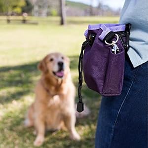  Company-of-Animals-Treat-Bag-Purple-Zipped-Pockets-Drawstring-Clips-on-Belt-Waistband-or-Pocket-Waterproof-Treats-Pouch-Ideal-for-Dog-Walking-Puppy-Training