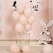 Party Pastel Balloons 100 pcs 10''Macaron Candy Colored Latex Balloons for Birthday Wedding Engagement Anniversary Festival any Friends & Family Party Decorations-pastel orange/blush balloon