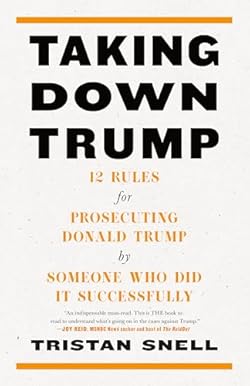 Taking Down Trump: 12 Rules for Prosecuting Donald Trump by Someone Who Did It Successfully