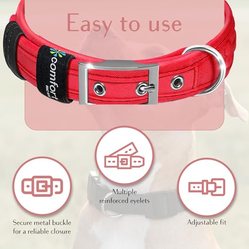 Collar para perro ajustable cómodo, impermeable y reflectante miniatura 3