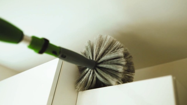 UNGER Spider Web & Cobweb Duster Brush - Internal or External - Fits Telescopic Poles - UNGER Cleaning Equipment, Grey, UNGCOBW0