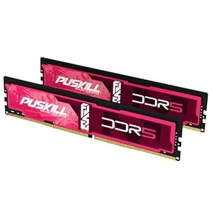 PUSKILL 32GB DDR5 RAM (2x16GB) 6000MHz CL30 Desktop Memory | Ultra-Low Late...