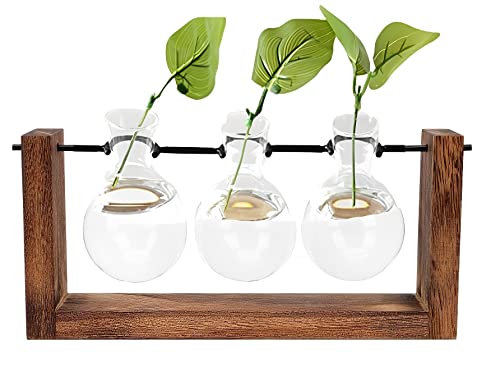 Vaso Decorativo Hidropônico De Vidro Terrário Planta 13x25cm