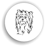 yorkshire biewer elevage Adesivi adesivi amberdog Adesivo per auto con cani Biewer Yorkshire Art. STK0137