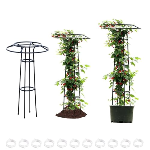 ̃IxXN K[fjOpx ACr[ T|[g AoRp ^gX õIxXN ƒ؉ gX peBI gX oA[` 105/145/185/225cm(,H:145cm)