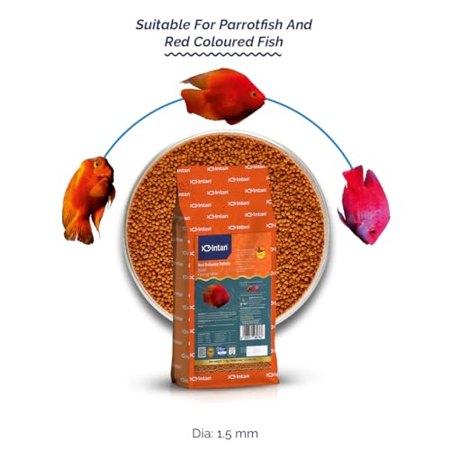 Image of Intan Red Enhance Pellets (Small 1.5mm Floating) | 1Kg - Highly Nutritious Ornamental Fish Food for Parrotfish & Red Coloured Fish | Growel Feeds