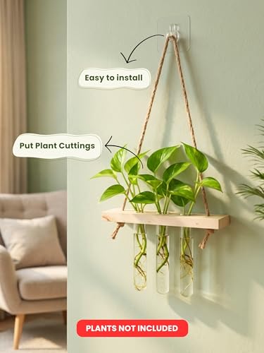 Image of Bombay Greens ; Sow, grow, eat, repeat Hanging Planter with Wooden Holder & Rope | 3 Test Tube Hanging Plant Indoor Stand | Wooden Planter for Home Decor, Living Room, Balcony & Office Decoration