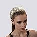 Baroque Crystal Flower Headband for Women Big Wide Chunky Rhinestone Bead Hairband Hairwear Jeweled Head Accessories (H1066-white)