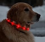 Floppy Ears Design USB Rechargeable LED Light-Up Safety Neck Loop, One Size fits dogs 13