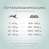 Terra Canis Pute & Ente mit Brokkoli und Melone - Naturhund, 400g | Premium Hundefutter in 100% Lebensmittelqualität Aller Rohstoffe | Getreide- & glutenfrei