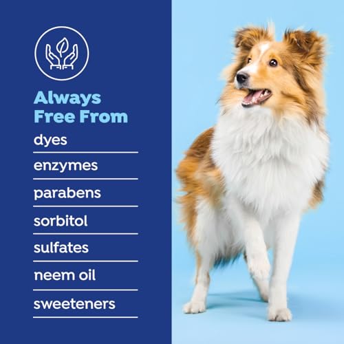 Image of Naturel Promise Fresh Dental Water Additive for Dogs 2-Pack, 18oz Each - Dog Breath Freshener & Teeth Cleaning Solution, Better Value for Daily Use