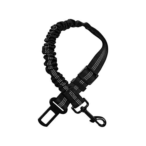 Iokheira Cintura Sicurezza per Cani, Moschettone in Lega, Nylon