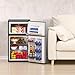 3.2 Cu.Ft. Mini Fridge with Freezer 2 Door Refrigerator and Freezer Small Fridge for Bedroom Home Office Dorm, Small Drink Chiller, 37 dB Low Noise, Stainless Steel