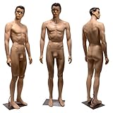 Realistic Standing Male Adult Mannequin + Base (YM8-1F)