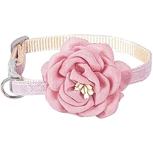 Cat Collar with Flower, Kitty Kitten Necklace for Cats & Small Dogs Nylon Safety Pet Collar Quick Release Buckle(1 Pack) (Pink)