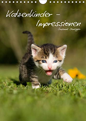 Preisvergleich Produktbild Katzenkinder - Impressionen (Wandkalender 2021 DIN A4 hoch)
