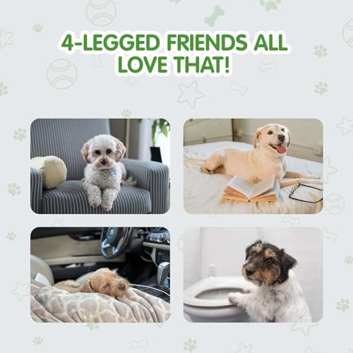 image for COCOYO Dog Training Pads Large Size丨Eliminating Urine Odor Puppy Pad