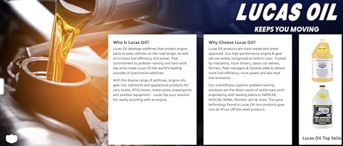 Cleaning Oil 2 Pack Oil 10916 Extreme Duty CLP Aerosol 100 Cleaning Swabs (2)