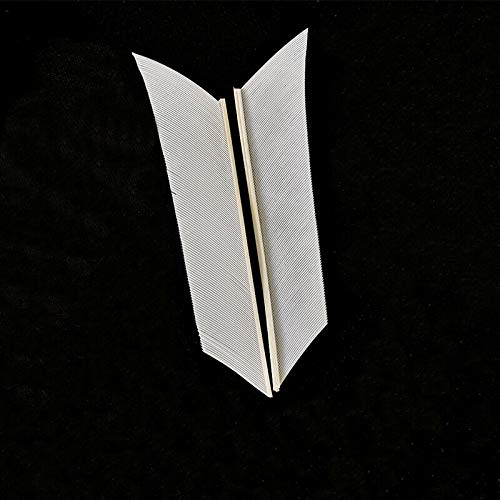 Amazon.co.jp: SHARROW 3cm/8cm/9cm矢羽根 アーチェリーアローフェザー Amazon.co.jp: SHARROW 3cm/8cm/9cm矢羽根 アーチェリーアローフェザー
