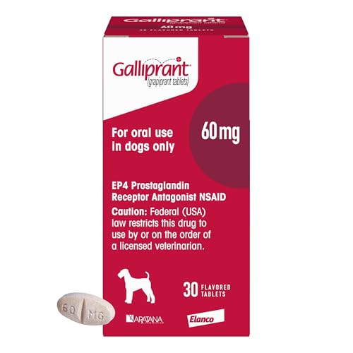 Galliprant Osteoarthritis Pain & Inflammation Control for Dogs | 60 mg | 15 Flavored Tablets