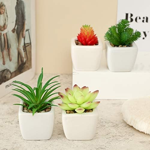 21春夏 植木鉢7個 セット多肉植物 Djb0275 インテリアグリーン 観葉植物 流行に Www Iacymperu Org
