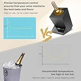 Zoom IMG-2 ddzjtpp refrigeratore elettrico per vino