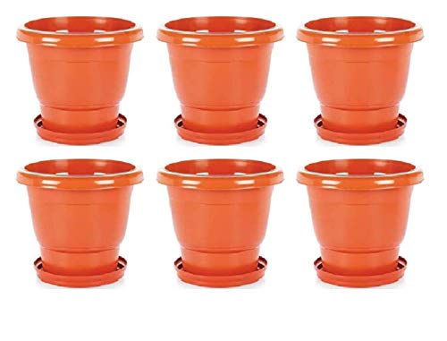 See full amazon price history chart for Desi Gardener 12 inch Brown Color Indoor And Outdoor Flower And Vegetable Planting Pot With Base Plate (Set Of 6) Desi Gardener 12 inch Brown Color Indoor And Outdoor Flower And Vegetable Planting Pot With Base Plate (Set Of 6) (B091T7C6CG) Amazon Price History, Amazon Price Tracker