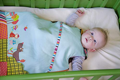 Ebulobo - Sacco a pelo Wolf