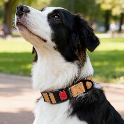 Image of Taglory Reflective Dog Collar for Medium Dogs, Soft and Safe for Daily Walk