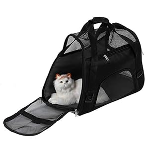 Hondentas Hondendraagtas Opvouwbare transportbox voor honden Outdoor Portable Dog Box Cat Box Transportbox Ademende transporttas voor huisdieren Honden Katten (L-zwart)