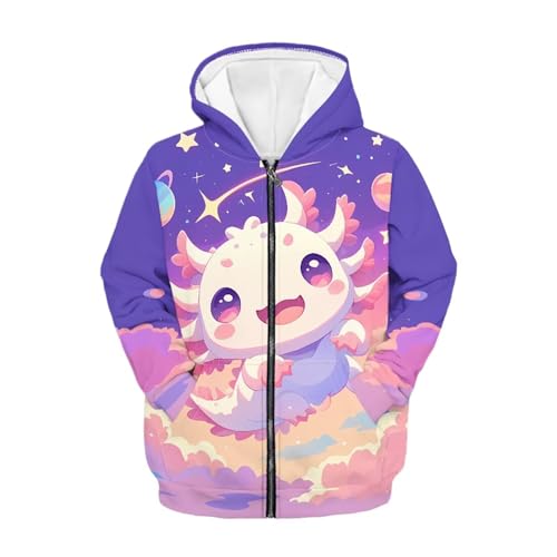 Image of Biyejit Kids Novelty 3D Graphic Printed Hooded Sweatshirt Boys Girls Zip Up Hoodies Age 6-16 Years