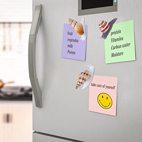 Imanes decorativos de caracol natural para refrigerador, 7 piezas miniatura 6