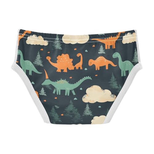 Wusikd Dinosaurs Clouds Boys' Underwear Cotton Trees Black Boys Briefs Soft Toddler Underwear 2T2