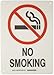 Brady 73486 14" Height, 10" Width, B-120 Premium Fiberglass, White On Red Color No Smoking Sign, Legend "No Smoking (With Picto)"
