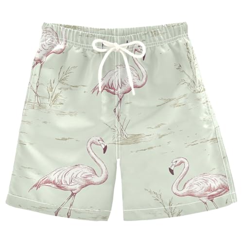 Boys Beach Board Shorts Flamingo Bird Cartoon Swim Trunk Teen Swimwear