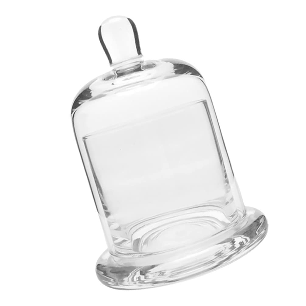 Bell Jar Glass Display Dome Cloche Terrarium Jar Plant Cover Cake Dessert Display Stand Candle Holder Cup Glass Dome for Plants Succulents Fairy