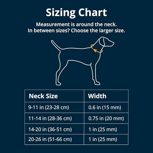 RUFFWEAR Hundehalsband Hi & Light, ultrastark und leicht, Starkes Tubelok-Gewebe, Aluminium-Leinenbefestigungsring und Schnalle, stilvolles Halsband, Basalt Grey, 28-36cm