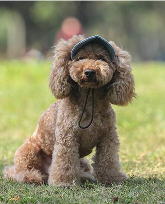 Ayunjia Dog Hat,Pet Baseball Cap Sport Hat Dog Mom/Dad Family Matching Baseball Cap Fashion Adjustable Outdoor Pet Parent-Child Hat Black 2 Color (Xl) #TOP4